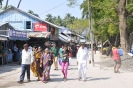 Havelock