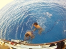 Nuotata in pieno oceano
