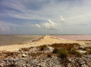 Saline