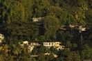 Roseau
