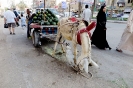 Suez