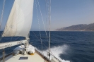 Costa del Sinai
