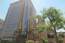 Il Cairo