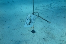Segnale per la barca