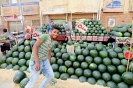 Suez il mercato
