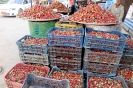 Suez il mercato