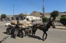 Asmara