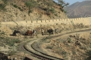 Ferrovia in disuso