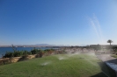 Sahl Hasheesh