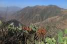 Vallate verso Asmara