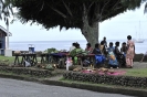 Verdure A Go Go a Levuka