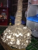 10 kg di cava