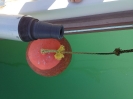 Boa arancione