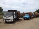 Camionate di zucchero