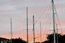 Tramonto tra gli alberi