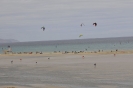 Kite