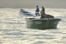 Capitan foca