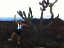 Posa da cactus