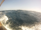 Ondine