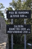 Caldera de Bandama