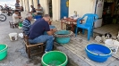 Preparazione esche
