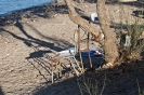 Spiaggia pubblica, Kos