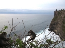 Scogliera Ulu Watu
