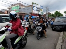 Scooteristi