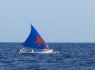 Vela Bintang