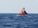 Vele speciali da regata