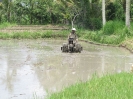 Aratro trainato ... dal motore