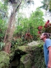 Goa Gojah 
