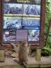 Monkey e il cartello