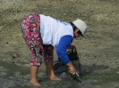 Pescatrice a Serangan