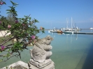 Rane a guardia del marina