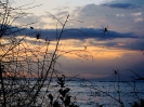 Ragni al tramonto