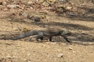 INDONESIA, Komodo National Park