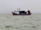 Pesca a strascico