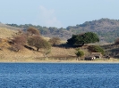 Terra arida