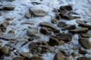 Il mare d'inverno