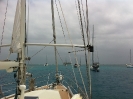 Cayo Lemon