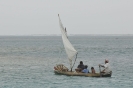 Ulu a vela