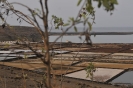 Salinas de Janubio