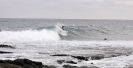 Surfisti