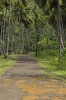 Strade sterrate