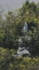 La Vierge des Marins