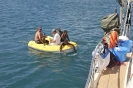 Piccoli ospiti a bordo