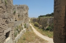 Rodi