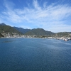 Picton