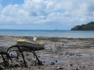Inaspettata bassa marea